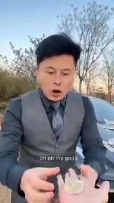 elon's chinese twin sir🤣