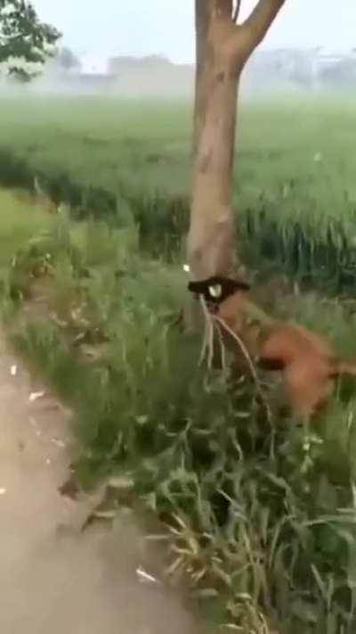 No stick? No problem.