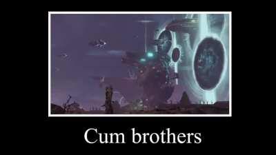 cum brothers