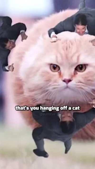 Tom Cruise laughing at the memes.