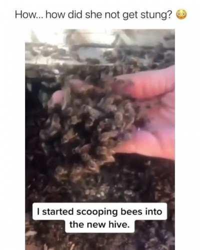 Thanks, I hate existing now