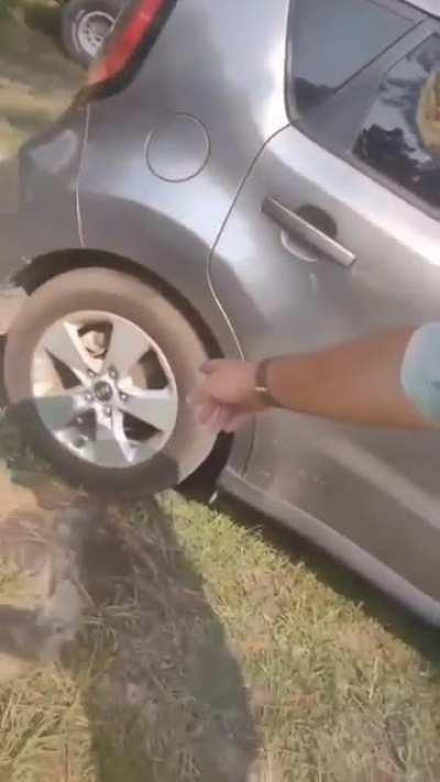 Thats exactly what im saying :/