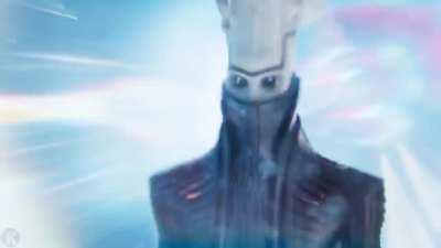 Witness doing Zoomies