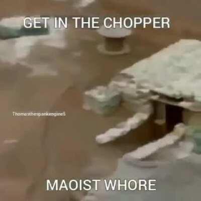 Communist Belle Delphine