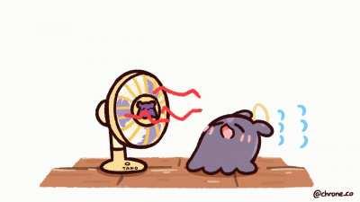 tako and the only fan