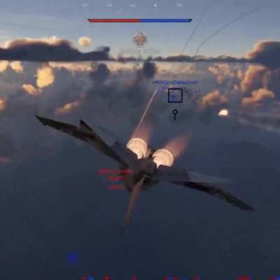 The lion does not care about chaff