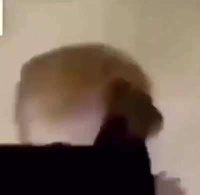 Say hi to mi dog he is kinda nervous