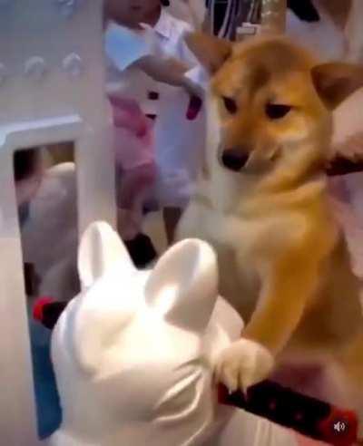 Riding the Dips like