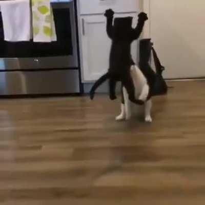 HMC as I get floored