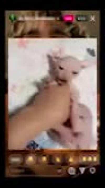 omg guys joy played unreleased on live i got it on recording 😳😳😳