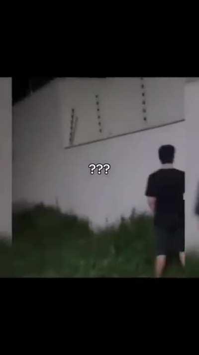 meu mano e uma imagem