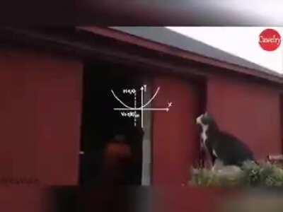 Berat Albayrak; Hesaplarıma göre...