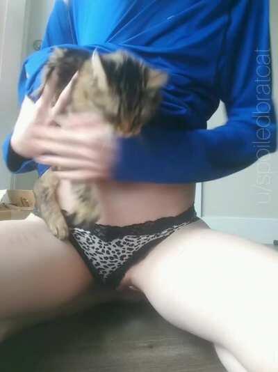 I'm president of the itty bitty kitty committee