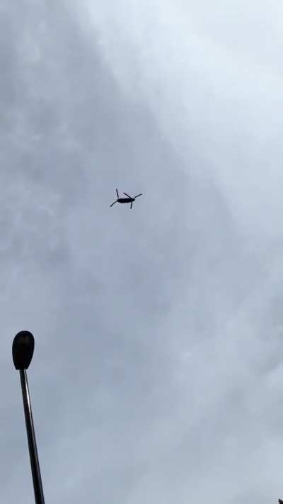 This flies over my flat quite often