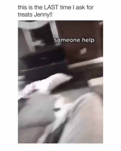 Jenny done messed up