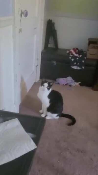 Certified loaf moment