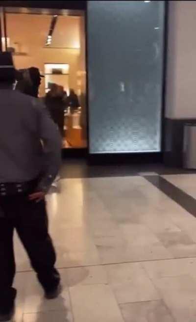Louis Vuitton employees fight thieves