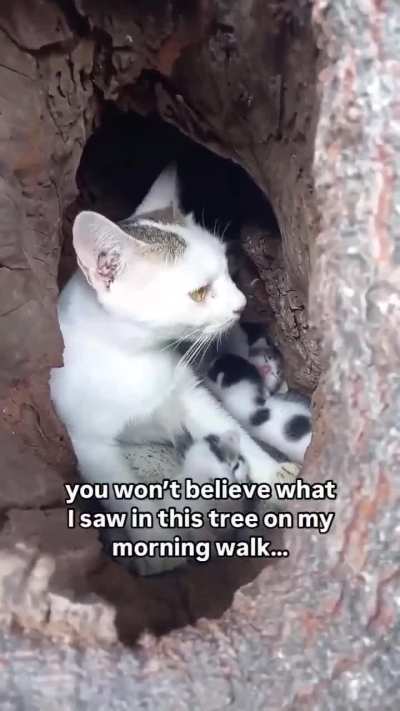 Her ass is an owl !!