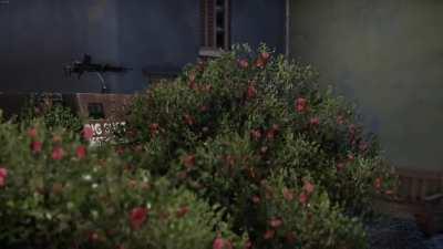 Rare footage of Ho-Ro hunting (narrated by Sir David Attenborough)