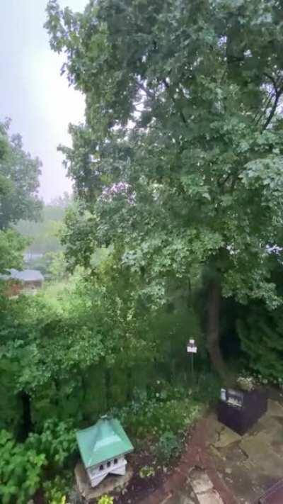 Current thunderstorm in Northeast IL