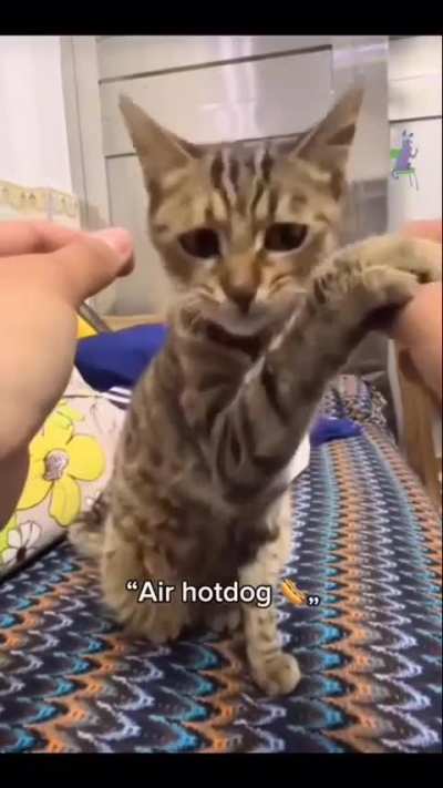 Wunk is always eating but wunk is never full 😔