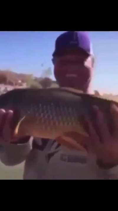 Fish of the week if it was epic