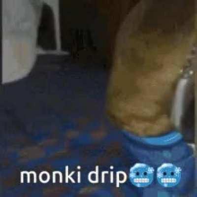 there is no meme only monky