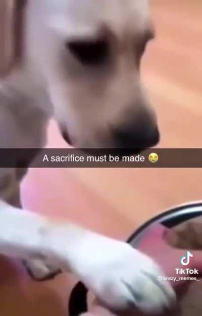 Day 2 of posting old memes from my saved