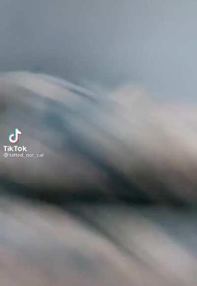 Real footage of Gabby catching Eddie 👀