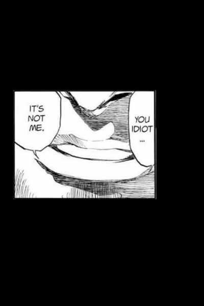 This is truly a Bleach(Lost Agent Arc)