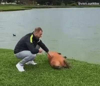 Who’s happier here