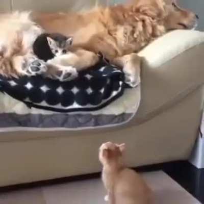 This might be the most adorable thing you'll see today.🤗