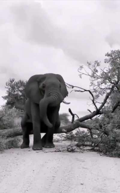 Low quality because grinding on 3 other things at once