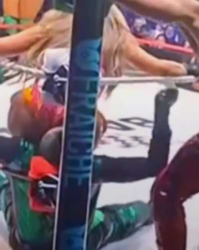 Stinkface Lola Vice in Mr iguana (otro angulo)