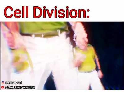 Cell Division in short