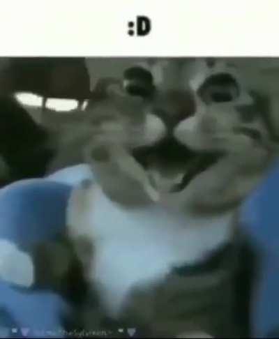 Amorgus moment (sussy)