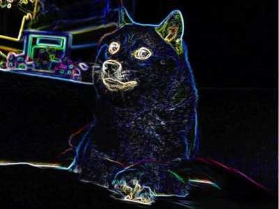 😳Rgb Doge😳