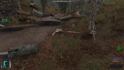 Never seen so many dogs come out of nowhere before