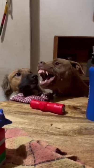 Shut your mouth .. ok, open it wide