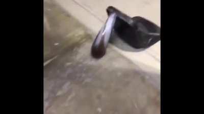 Dumbest experiment I&rsquo;ve ever tried. Random massive pile of black powder in a glass vase.