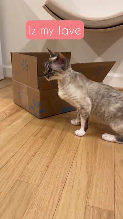 Just having a chat with Miss Luna