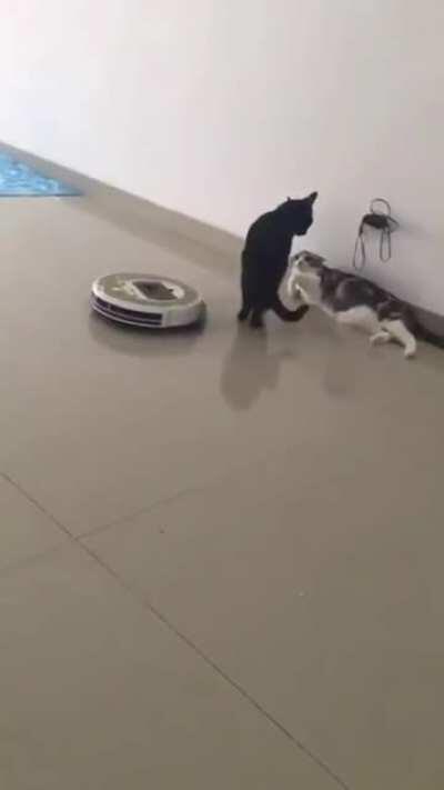 This doesn't concern you, keep out of it!