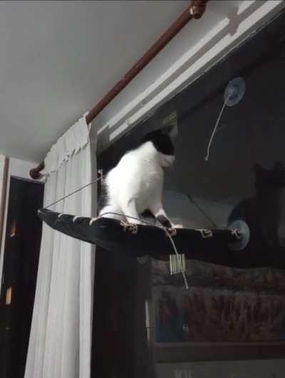 One final cable Arbiter