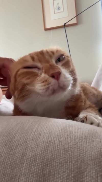 queen oye's servant gives her scritchoyes