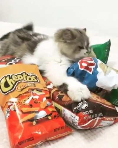 Excuse me can I have this snack? No Way!