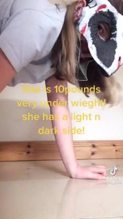 GUYS OUR MOST EXPENSIVE DINO YET