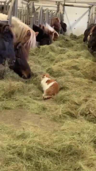 Stay in your own lane, Buddy boy!