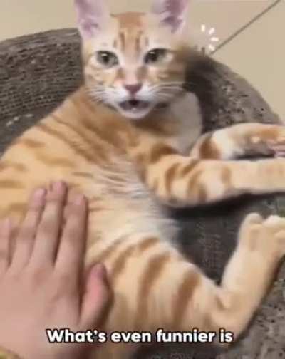 Should I upgrade it to amd processor