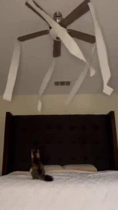 Зарядка для кота