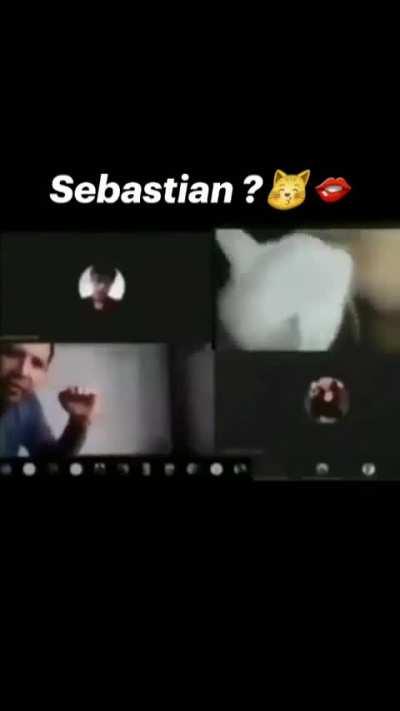 Sebastian?